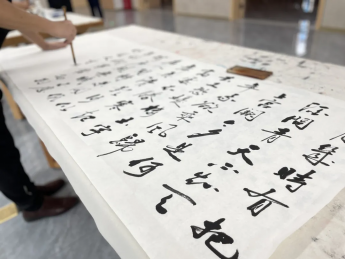 墨香四溢 漢中市書(shū)法家協(xié)會(huì)攜手西鄉(xiāng)縣博物館共襄書(shū)法盛舉